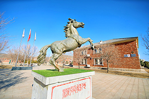 北京青苗國際雙語學校懷柔國際部