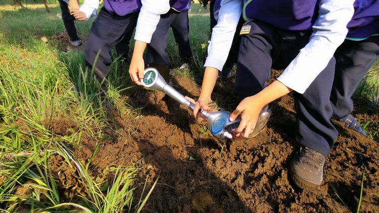 貝賽思深圳國際學校南山