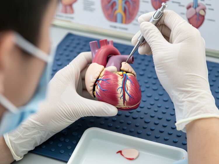 北京有哪些國際初中學校