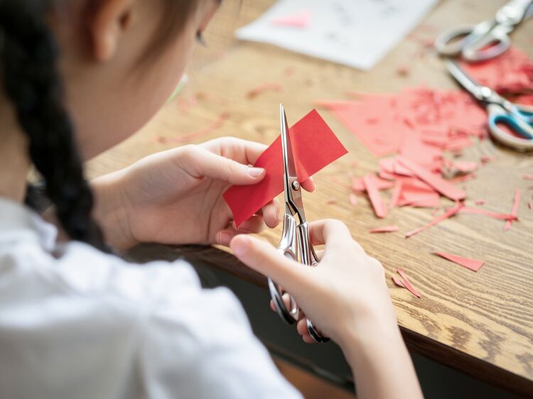 附近的國際學校